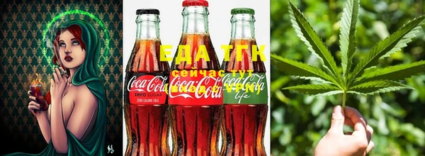 скорость Алзамай